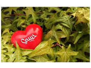 Your lover's name on the heart of the center of the green plant