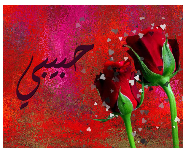 Your Name Is On Red Rose And Dew Drops Postcard