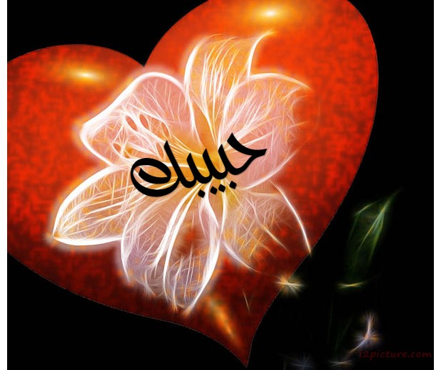 Your Lover's Name On The Heart By Rose Postcard