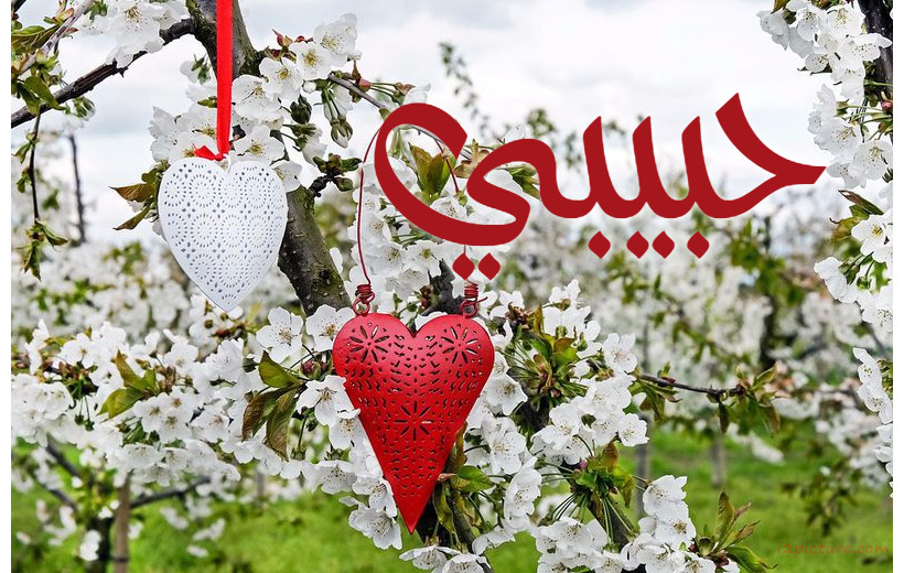 Your Name And Your Lover On The Hearts Of Plastic Amid Plants Postcard