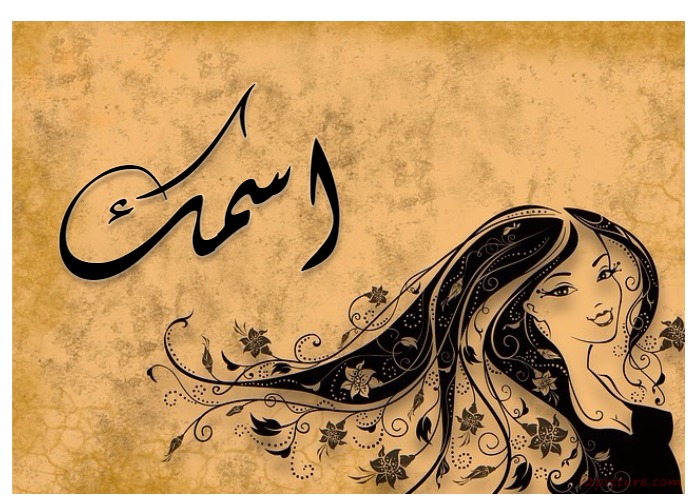 Type Your Name Next To Girl Postcard