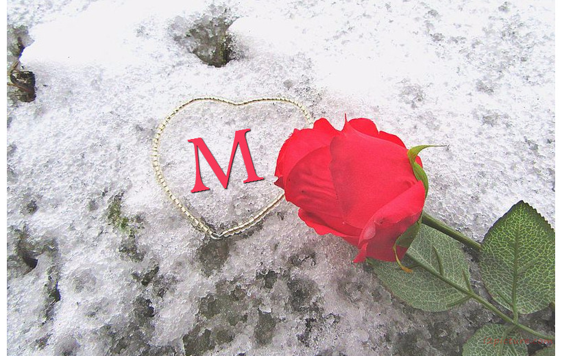 Your Name On The Red Rose And Snow Golden Heart Postcard