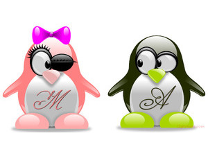 Your name and your lover on a small penguin