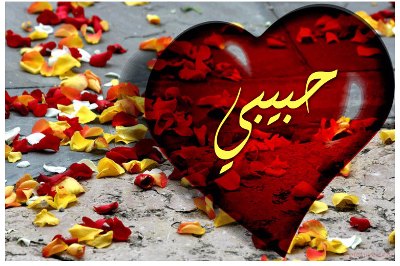 Your Lover's Name On A Red Heart And The Plants On The Ground Postcard