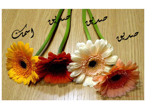 The names of your friends on colorful flowers in 1234