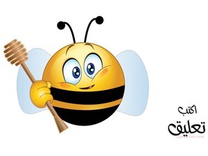 smiley face-boy-bee