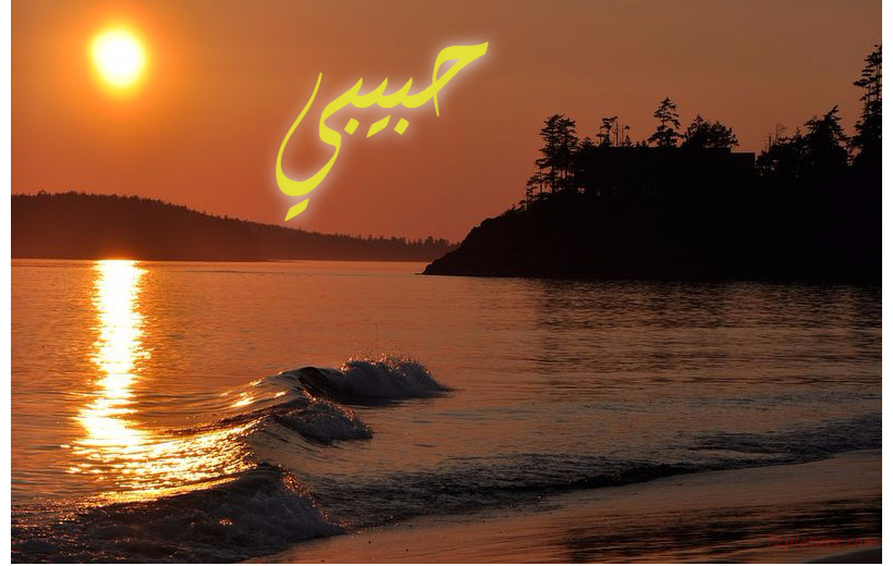 Type Your Lover's Name On The Sea At Sunset Postcard