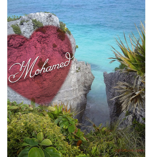 Type Your Lover's Name On A Rock On The Beach Postcard