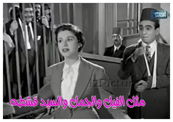  قفشات الأفلام - مثل الفيل والجمل والسيد قشطه 