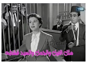 مثل الفيل والجمل والسيد قشطه 