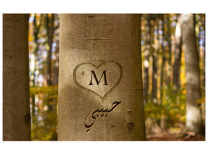 Your lover's name engraved on the heart of the tree