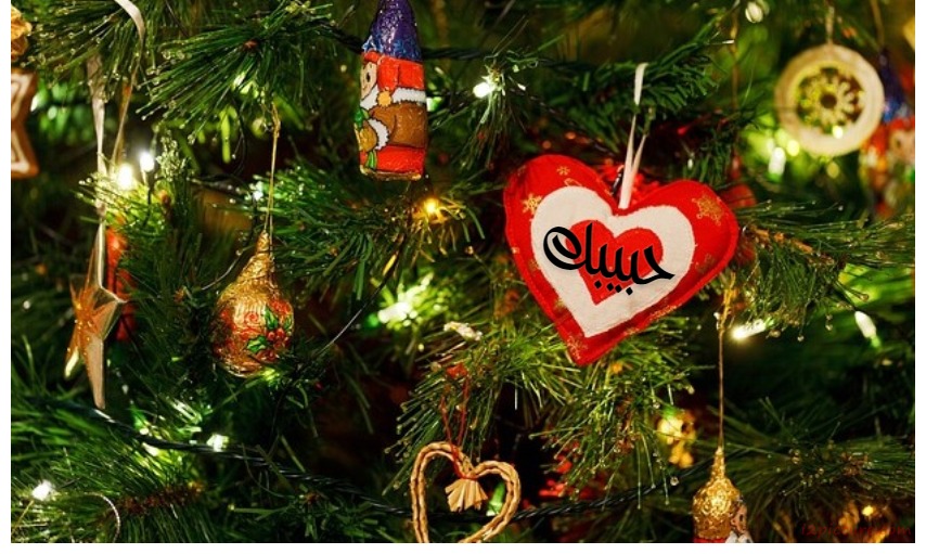 Red Heart Hanging On A Tree Postcard