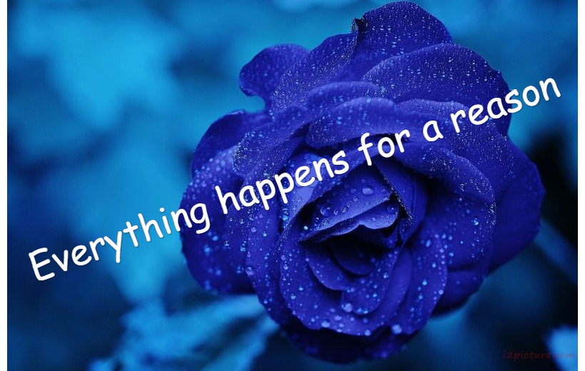  حكم و خواطر - Everything Happens For A Reason