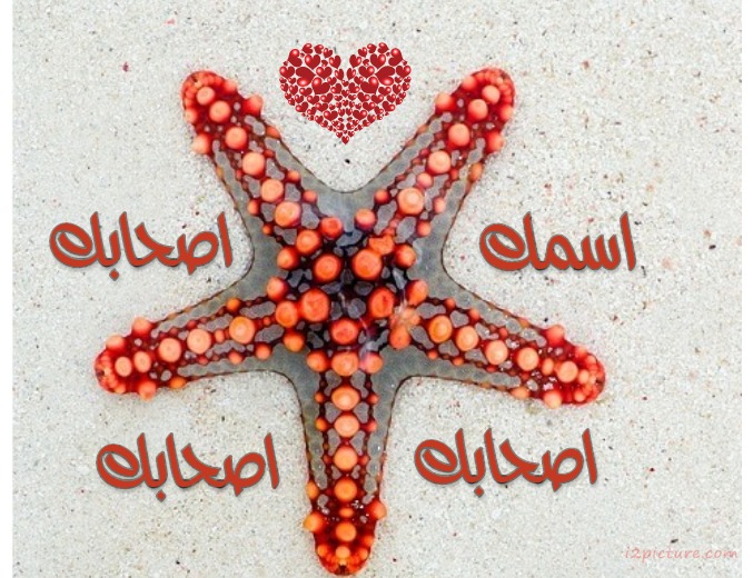 Star Of The Sea Name Your Friends Postcard