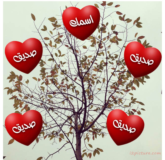 The Names Of Your Friends On The Hearts And Tree Postcard