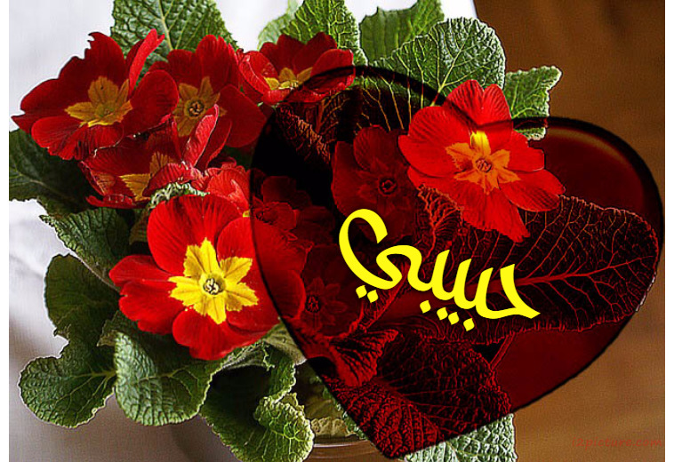 Your Lover's Name On The Bouquet Flowers Postcard