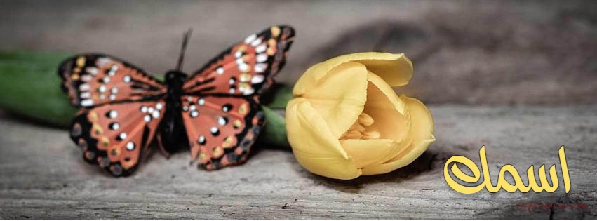 Your Name On A Rose And Butterfly Facebook Cover