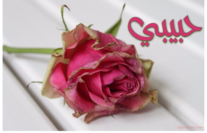 Your Lover On The Name Of A Flower Postcard