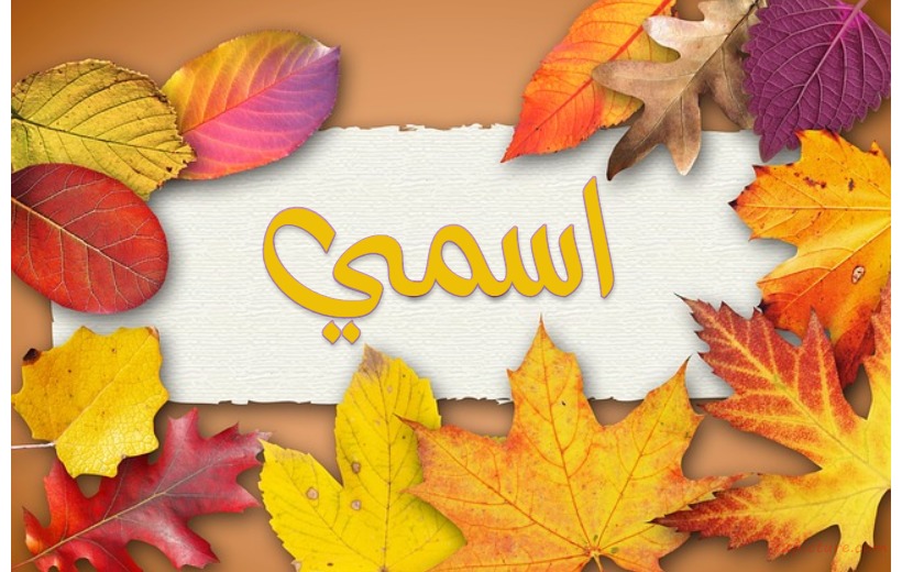 Your Name On The Board And Painted Leaves Postcard