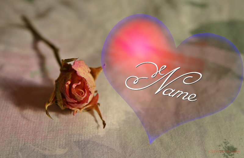 Your Name And Your Lover On The Transparent Heart And Rose Postcard