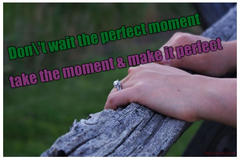  حكم و خواطر - Don't Wait The Perfect Moment Take The Moment And Make It Perfect