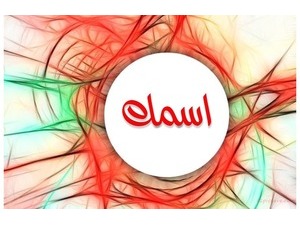 Your name inside the circle of colored lines