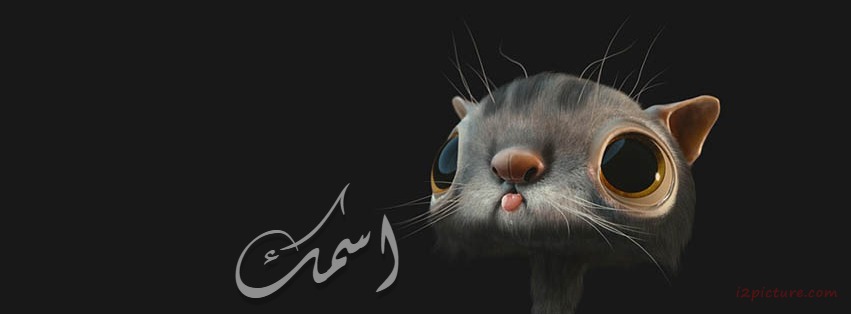 Your Name On A Cat Cartoon Facebook Cover