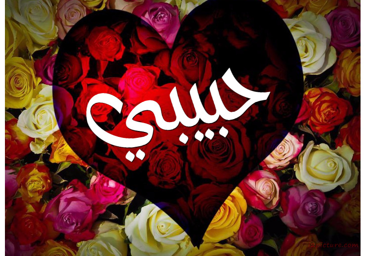 Your Lover's Name On Colorful Flowers      Postcard