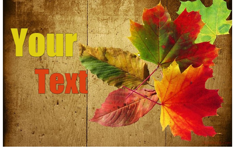 Colorful Leaves Postcard