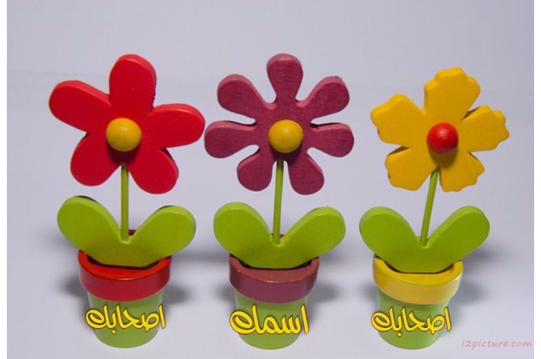 Your Name And Your Friends On The Flowers Postcard