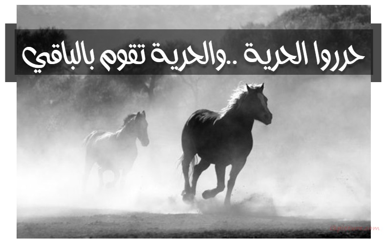  حكم و خواطر - حرروا الحرية ..والحرية تقوم بالباقي