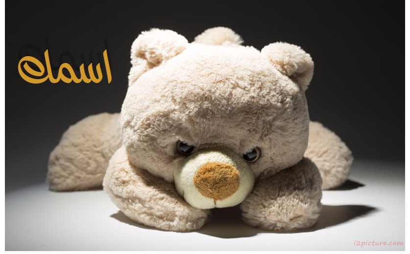 Your Name On The Teddy Bear Postcard