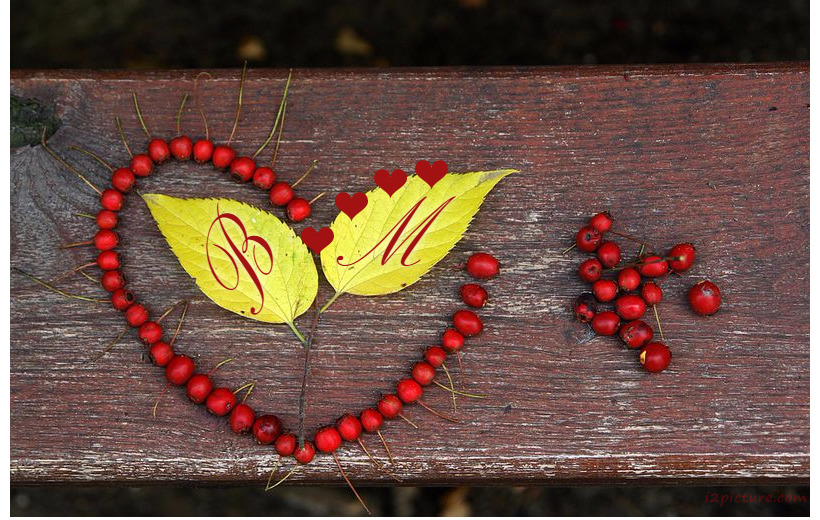 Type Your Lover's Name On The Heart Of The Red Grain Postcard