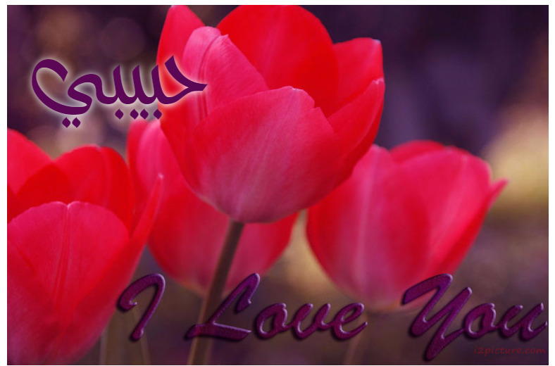 Type The Name Of Your Lover On The Flowers And The Word Love 2 Postcard