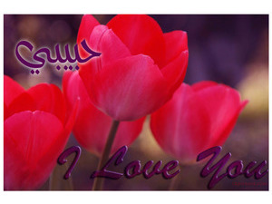 Type the name of your lover on the flowers and the word love 2