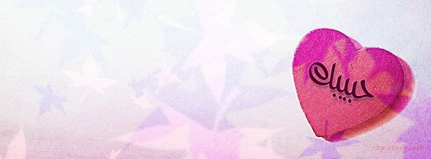 Your Lover's Name On The Heart Of Pink Facebook Cover