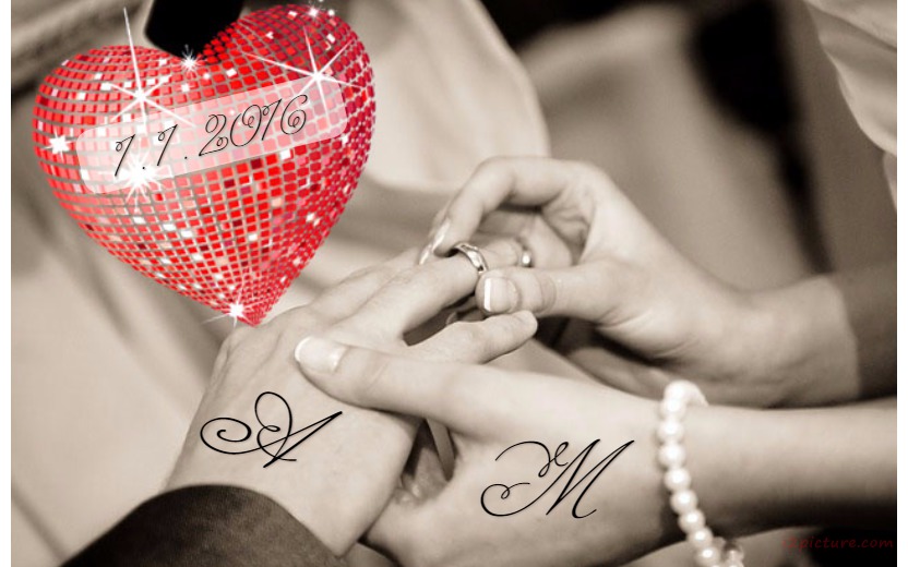 Wedding Party Postcard