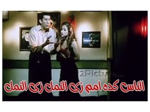 الناس كده ام زى النمل زى النمل