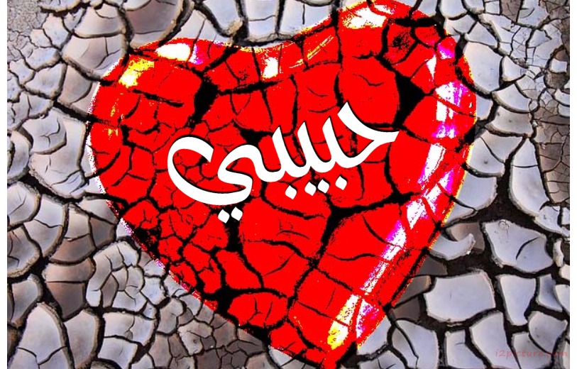 Your Name On The Heart On The Soil Postcard