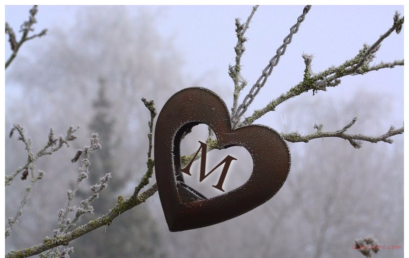 Your Name And Your Lover Have A Heart Hanging On A Trunk Postcard