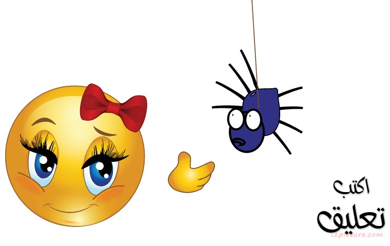 Do Not Fear Of Spiders Postcard