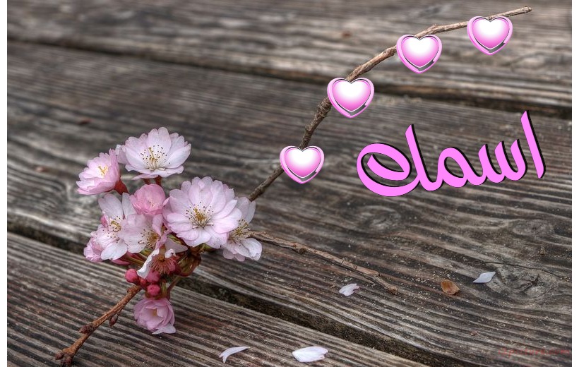 Branch Colorful Flowers Postcard