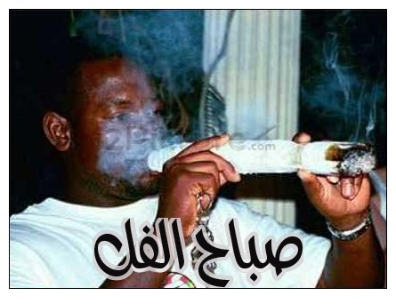  قفشات الأفلام - حشيش