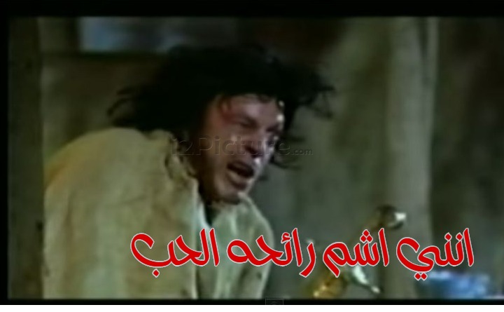  قفشات الأفلام - انني اشم رائحه الحب