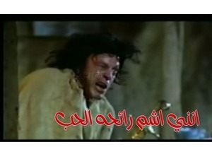 انني اشم رائحه الحب