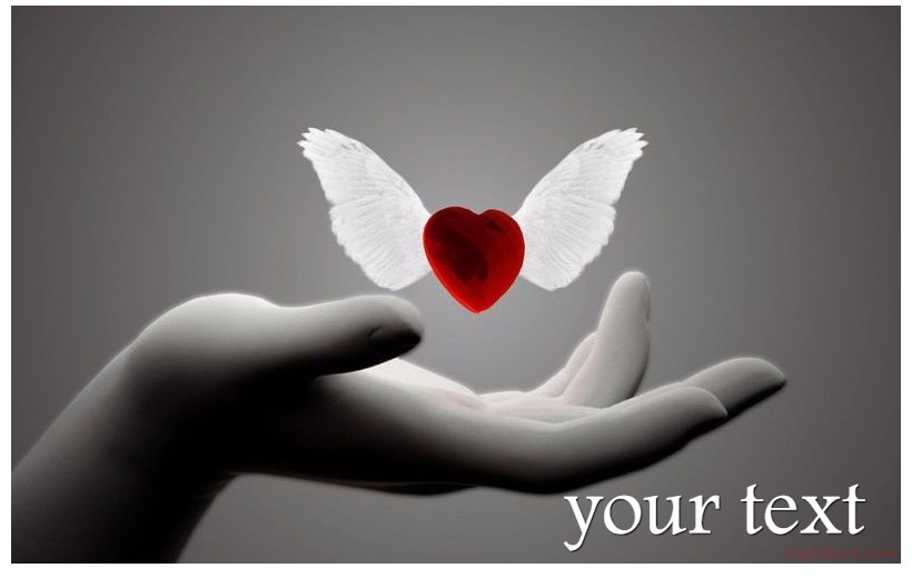 Heart With Wings Postcard