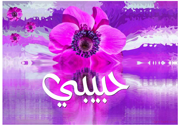 Your Name And Your Lover On A Flower Purple Reflections Postcard