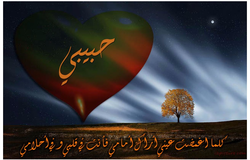 Your Lover's Name On The Heart In The Night Postcard