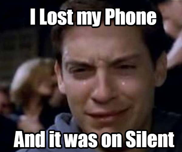 I Lost My Phone And It Was On Silent Meme