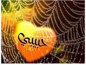Your lover's name on a spider's web